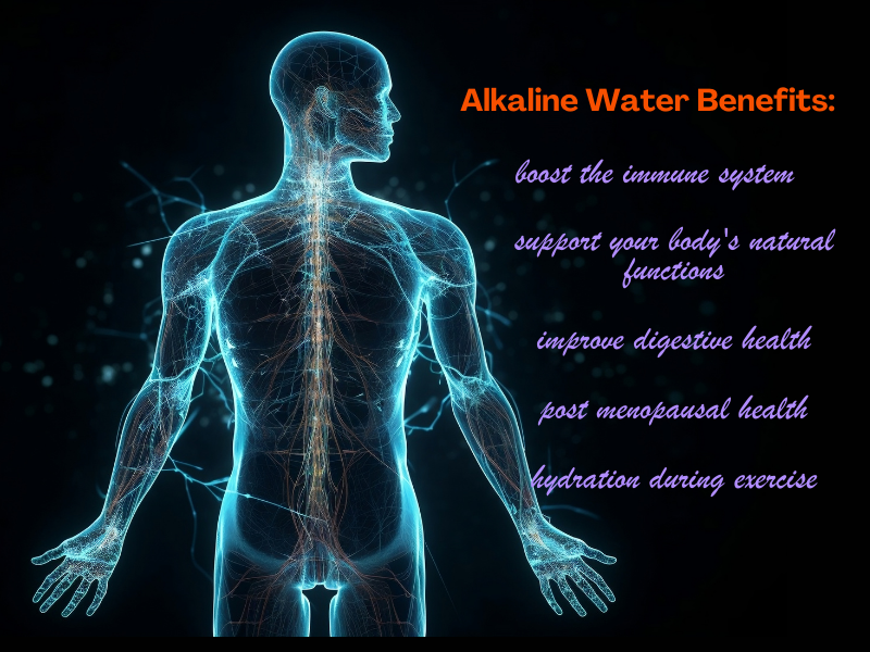 alkaline water filter