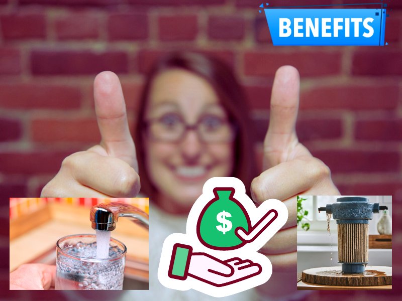 inline water filters benefits