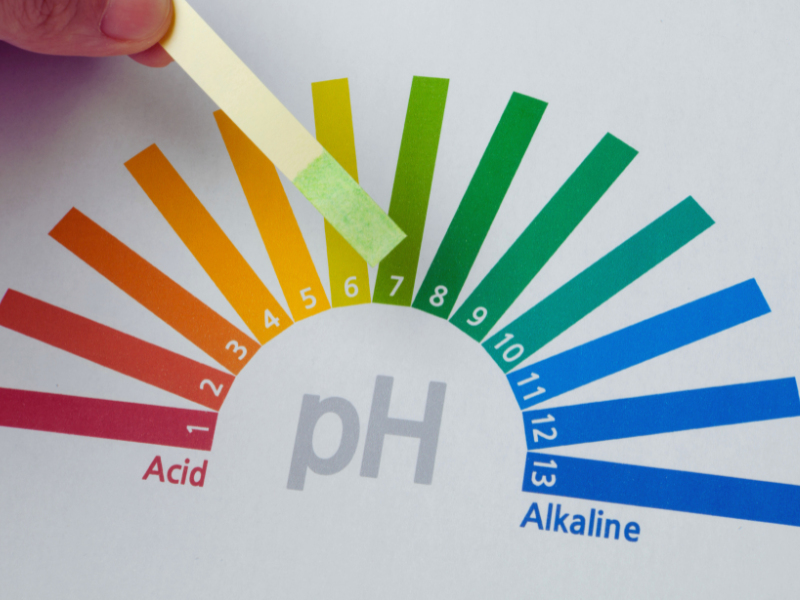 Impact of pH Levels on Reverse Osmosis Water Filter