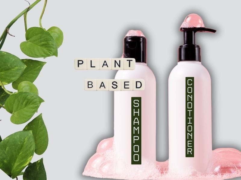 Plant-based shampoo and conditioner with foam—natural haircare game changer for balding clients.