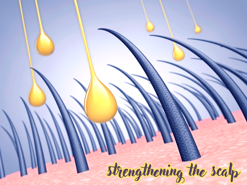 Illustration of scalp with hair strands absorbing nourishing serum droplets for strength and growth.