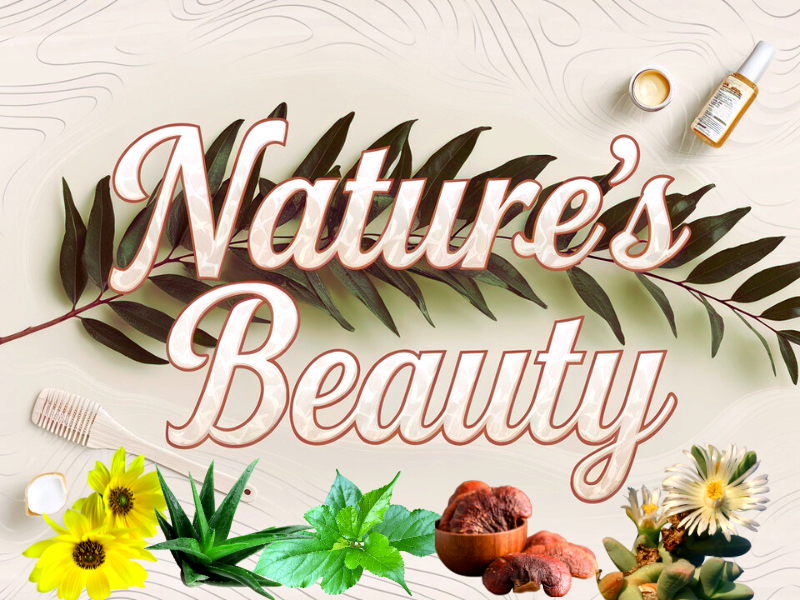 Botanical haircare image with aloe, nettle, mushrooms, and oils – promoting natural beauty and strong hair