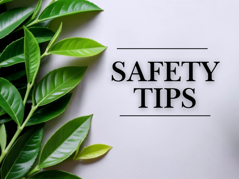 Clean beauty safety tips – green leaves and text highlight safe practices for plant-based personal care routines