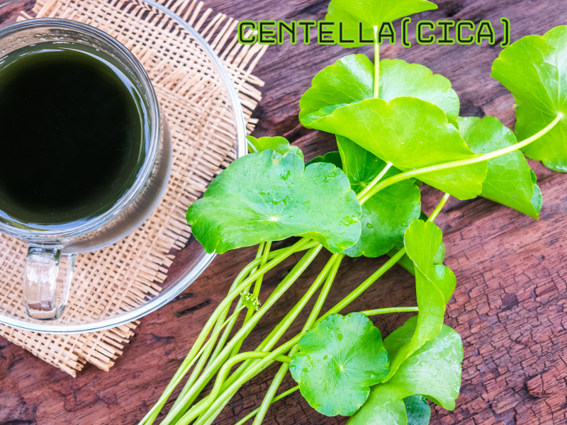 Fresh Centella Asiatica (Cica) leaves on a wooden table with herbal tea, known for soothing scalp and skin.