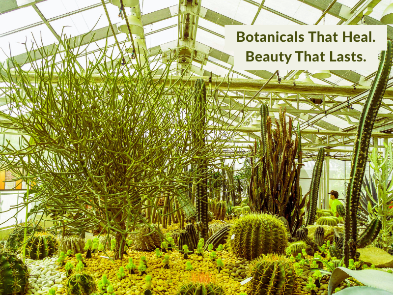 What Makes Korean Vegan Haircare So Powerful And Why Salon Clients Love It