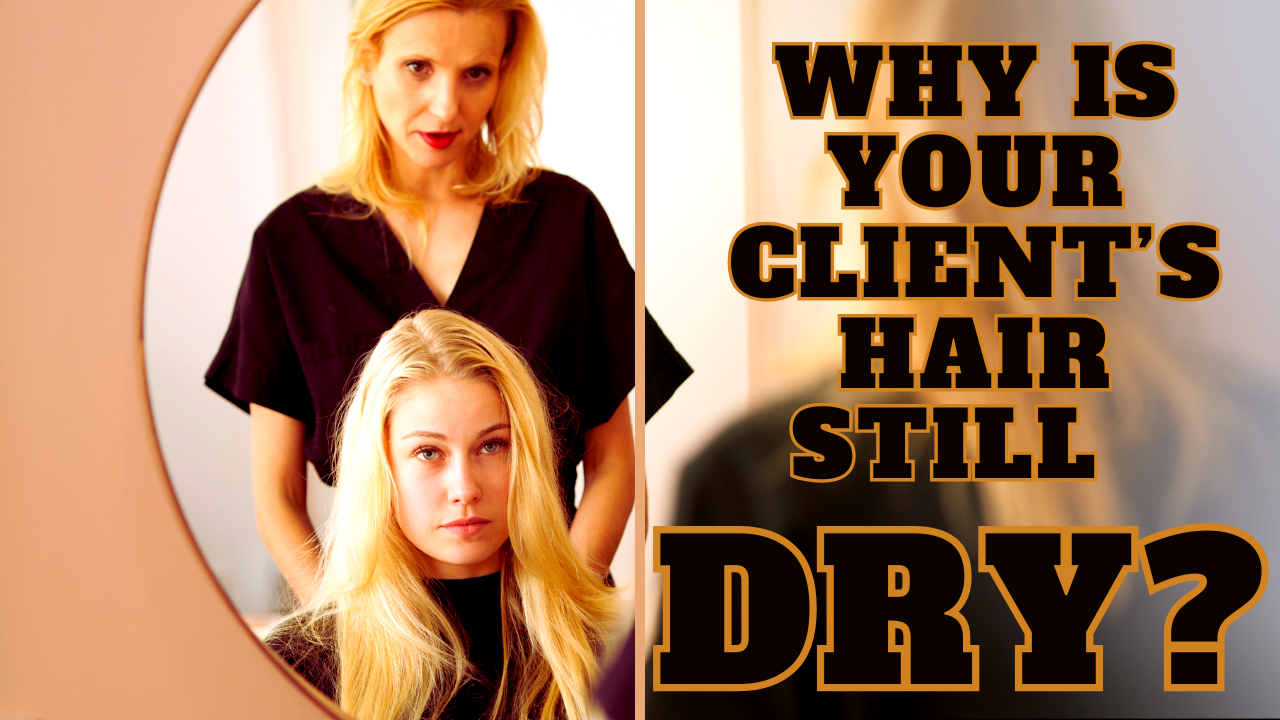 Salon expert analyzing client's dry hair—discover deep conditioning secrets for lasting hydration and healthier hair.