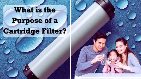 What is the Purpose of a Cartridge Filter?