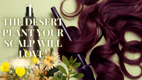 The Truth About Deserticola: Nature’s Answer to Common Scalp Concerns